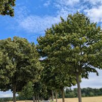 RALLYE PS.SPEICHER, on the road_05.07.2025 © Einbeck Tourismus (24).jpg