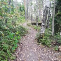 Mikonsaaren Naturschleife