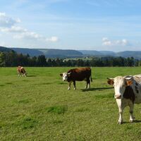 Weide Ausblick Hardt