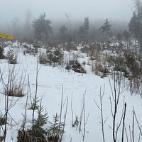 VARIANTE WANDERN: Beim gelben Schild Pfad nehmen