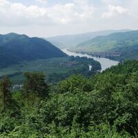 Donaublick