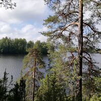 Pappilanniemen Naturpfad