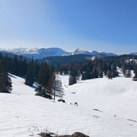 Hohe Weichsel im Hintergrund