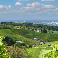 Aussicht Büchelbach