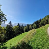 Die letzten 800 Meter führen uns entlang einer Forststraße bis zu unserem Ziel dieser Tour.