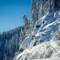 Winterlandschaft