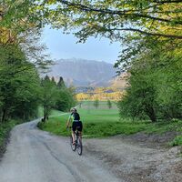 Die Straße, die aus dem Dorf Gorica hinausführt