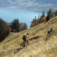 Technisch anspruchsvoller Trail zur Laubegg