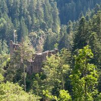 Burgruine Falkenstein