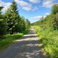 manchmal wandert man entlang der Sandwege