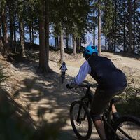 Mountainbiken in der Skill Area
