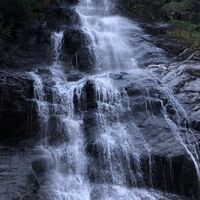 wasserschaupfad bräualm_img_38751193