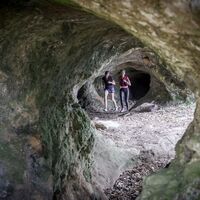 redim@Cyrille Quintard-naturetrail-dordogneJ1-2226