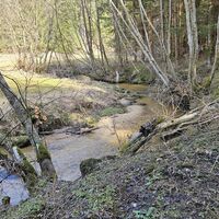 Mäandernder Lohnbach