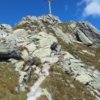Letzer Anstieg zur Zamangspitze