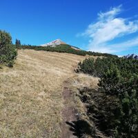 Steig zum Kleinmölbing