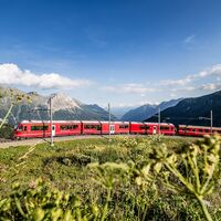 Alp Grüm