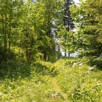 Kurz vor dem Wasserfall kommen wir auf eine Forststraße