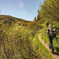 stein am mandl_img_71514474
