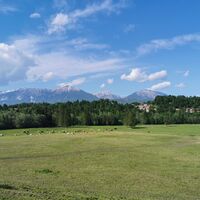 Weiden unter Bodeščami