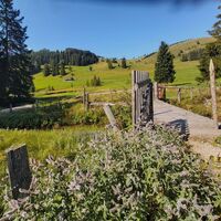 Mixnitzbach-Brücke_Naturpark Almenland_Oststeiermark