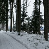 Winterwanderung Guggisberg