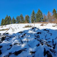 Aufstieg zum Jochartgipfel