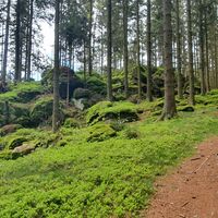 10.0 km Hussenstein