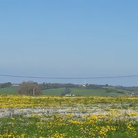 Blick von Westenried nach Böhen