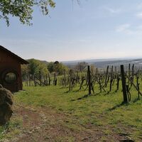 Vom Wald zur Aussicht am Sonnengesangsweg in Tieschen