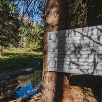 Sensorischer Schlammweg ©Archivio APT Val di Fassa