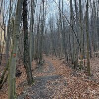 Der Wanderweg geht indes hier weiter, zunächst noch bergauf..
