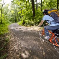 Unterwegs im Natura 2000 Europa Schutzgebiet Murauen