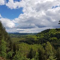Aussicht vom Trifelsblick in Richtung bekannten Reichsburg