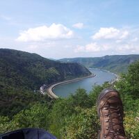 Wilpertskopf auf der Traumschleife Rheingold