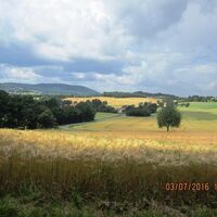 Ausblick vom Remmighauser Berg auf die Grotenburg mit dem Hermannsdenkmal