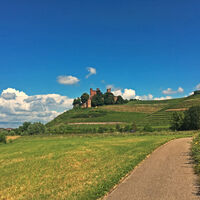 Blick auf das Schloss Ortenberg