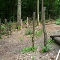 Waldspielplatz