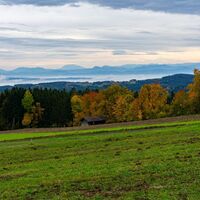 Aussicht in das Alpenvorland