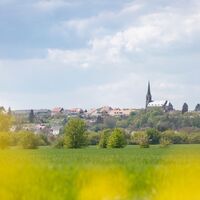 Blick auf Biesingen