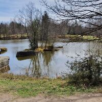 1.1 km Blockheideteich mit Insel