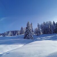 Verschneite Landschaft in Schetteregg