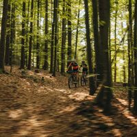 Mountainbiker im Böhmerwald