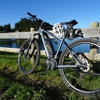 Rast auf der Steinplatte