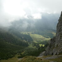es geht voran, aber der Nebel will nicht so recht der Sonne weichen