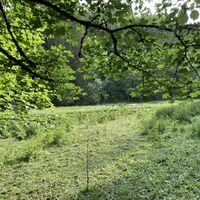 Wiese im Strycktal