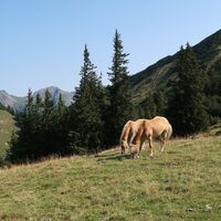 Auf halbem Weg zum Itonskopf