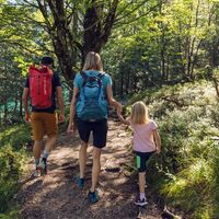 kurz vor der Gaisalm führt der Weg durch schattigen Wald