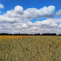 Radrundweg R 19 Herzebrock-Clarholz