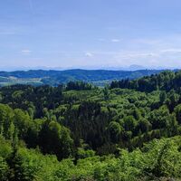 Blick zum Traunstein